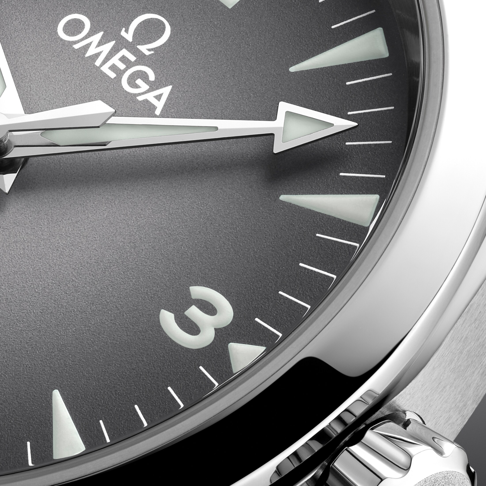 SEAMASTER RAILMASTER