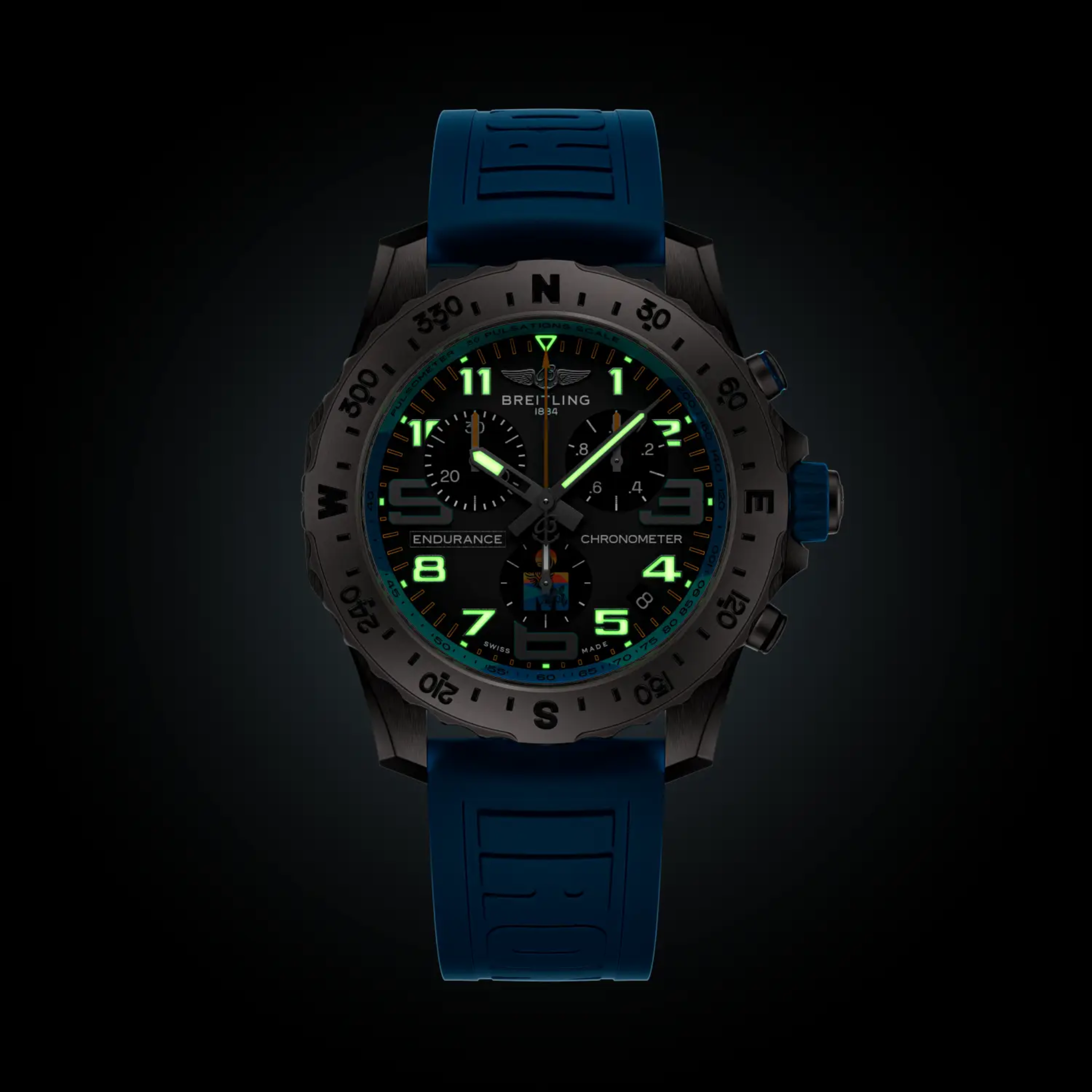 PROFESSIONAL ENDURANCE PRO IRONMAN WORLD CHAMPIONSHIP 2025