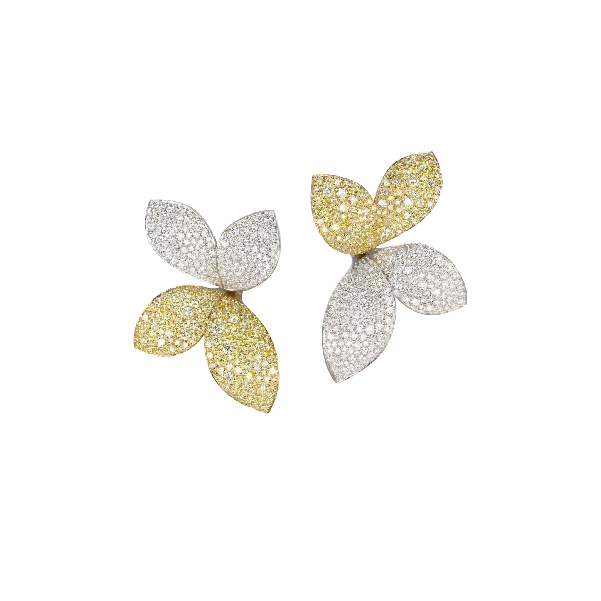 784155 CLASSIC EARRINGS 16629BG