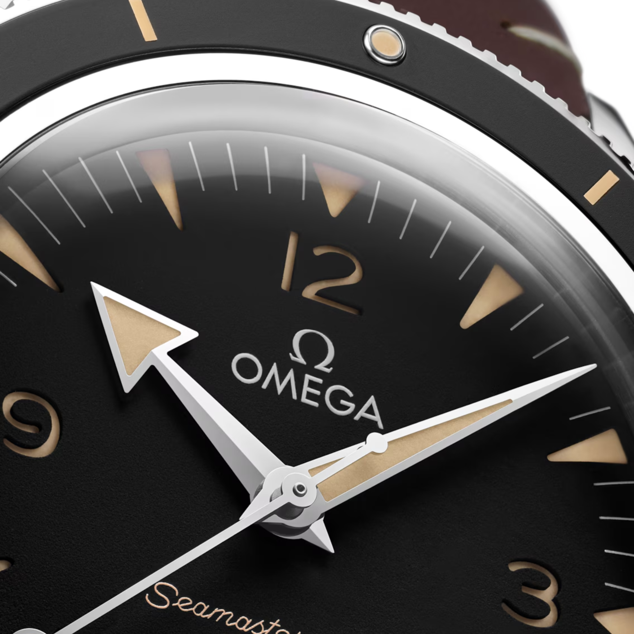 SEAMASTER 300 MASTER CO AXIAL