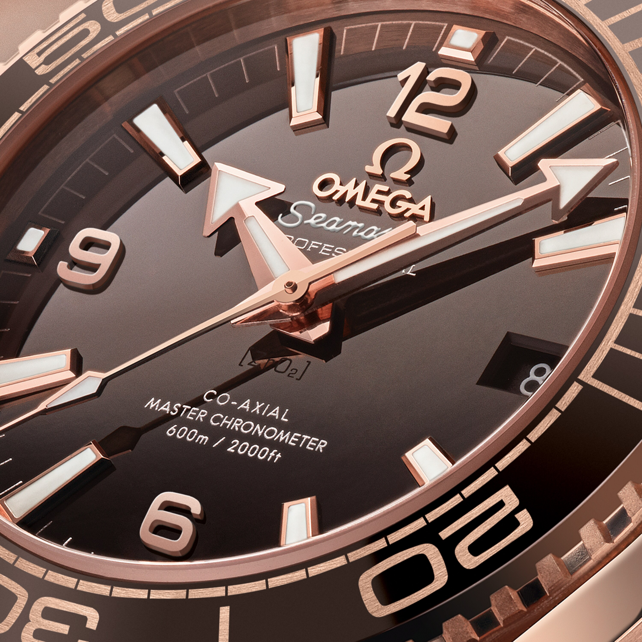 SEAMASTER DIVER 600M CO AXIAL CHRONOMETER